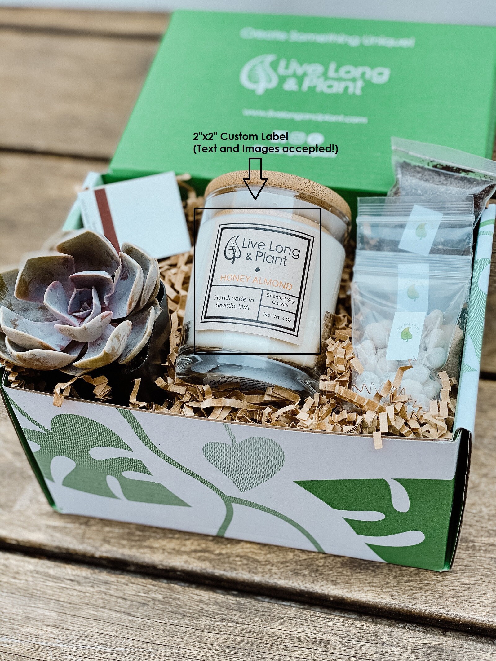 Craft Kits for Adults DIY Terrarium Kit Custom Label Succulent Etsy