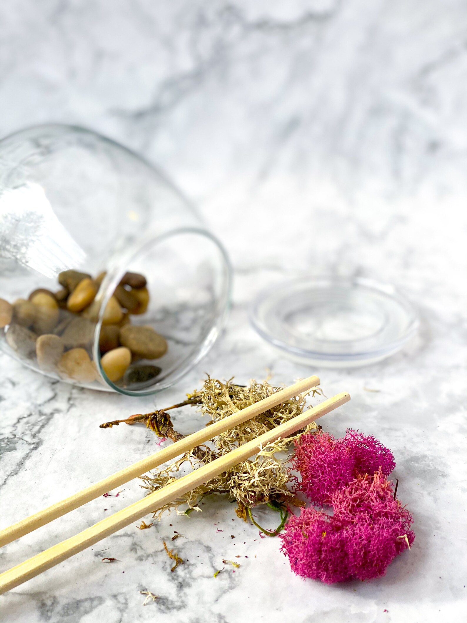 Closed Terrarium DIY Terrarium Kit Terrarium Craft Kit for Etsy