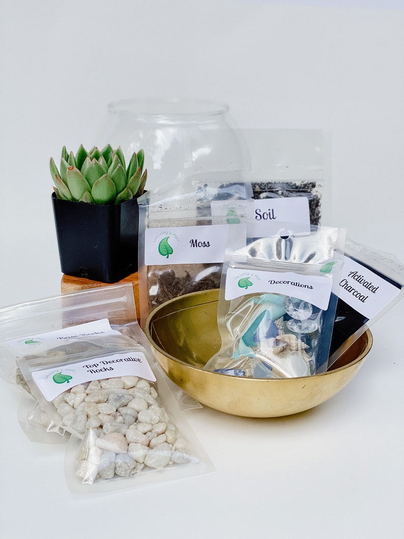 DIY Terrarium Kit for Adults Birthday Gifts Happy Birthday Etsy