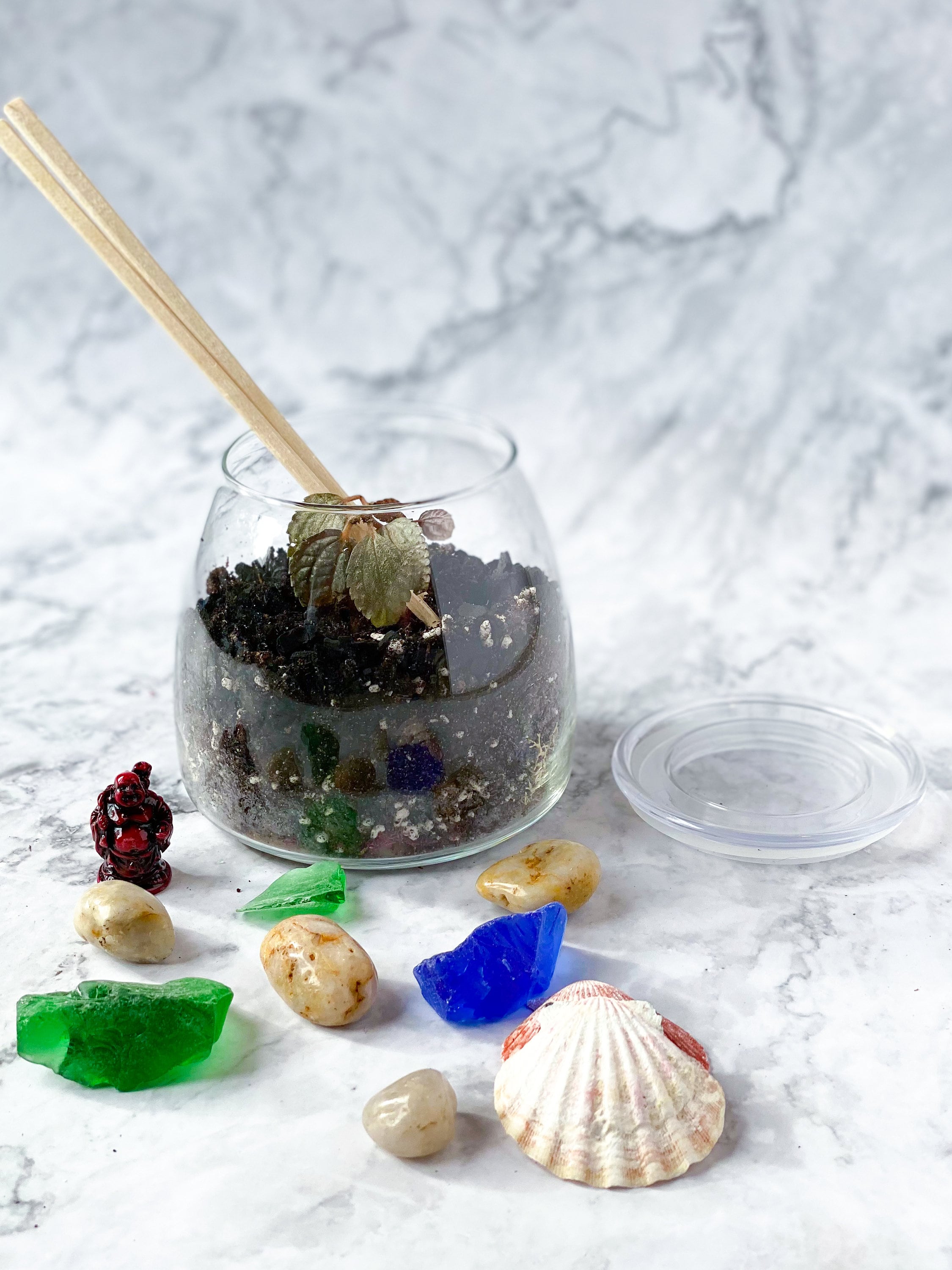 Closed Terrarium DIY Terrarium Kit Terrarium Craft Kit for Etsy