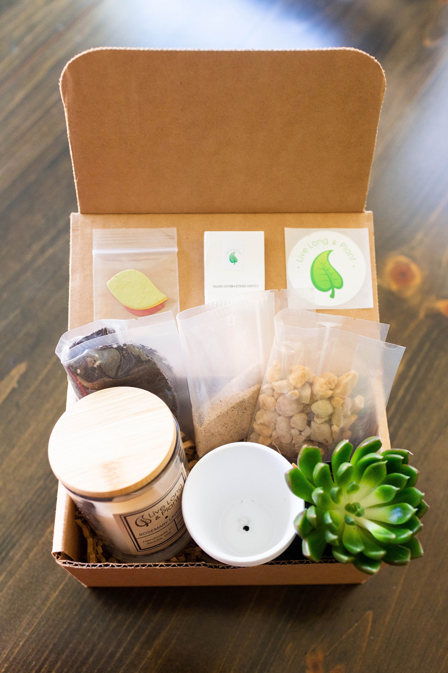 Succulent Gift Box Terrarium Kit DIY Terrarium Gift Box Etsy