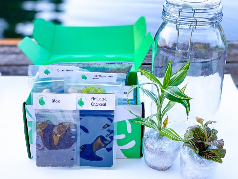 Terrarium Kit Closed Terrarium Kit DIY Kits for Adults Etsy