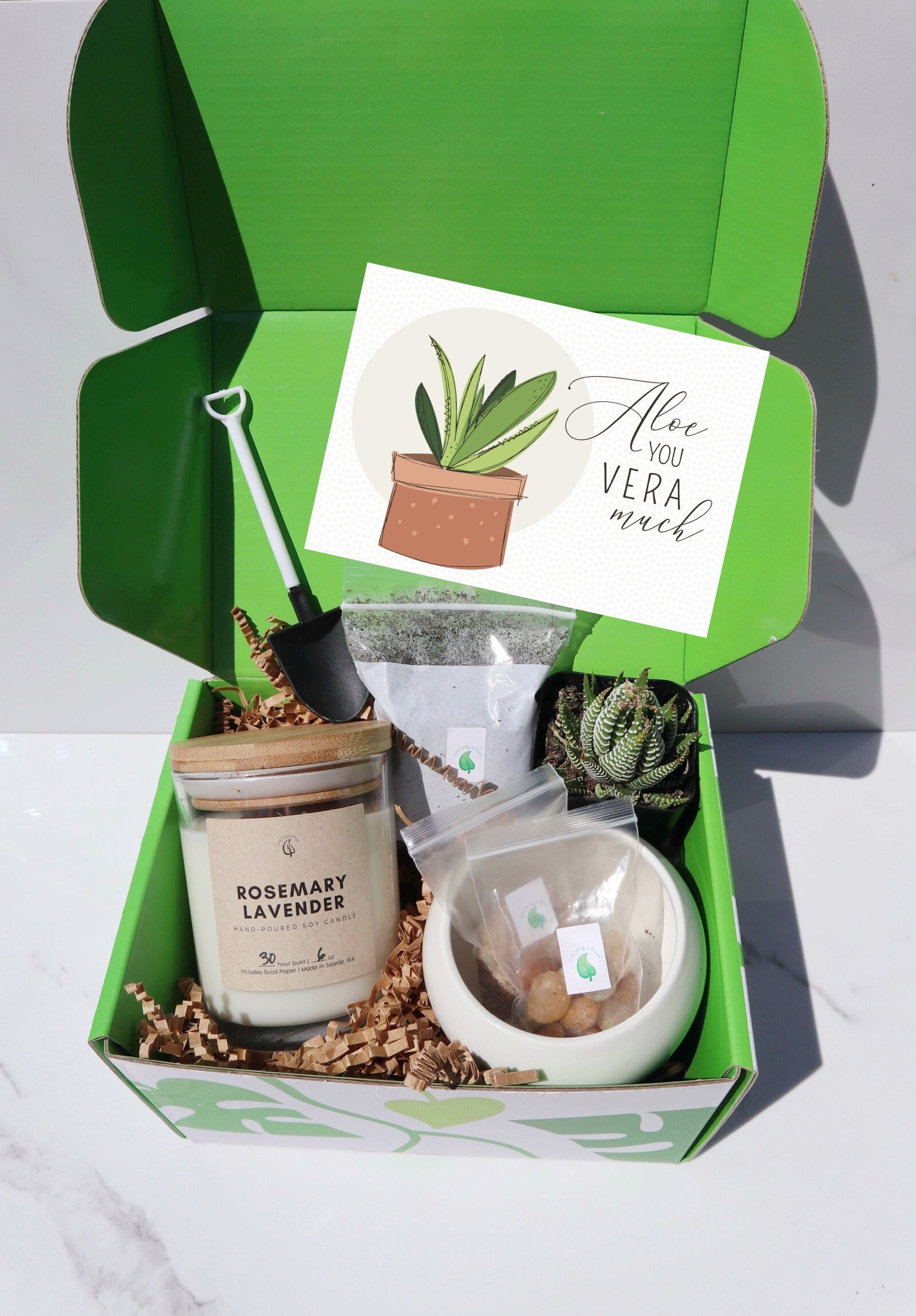 Plant Gift Box Plant Gift Set Candle Succulent Gift Box Etsy