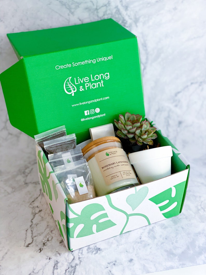 Thank You Succulent PIant Gift Box Set DIY Terrarium Kit Etsy