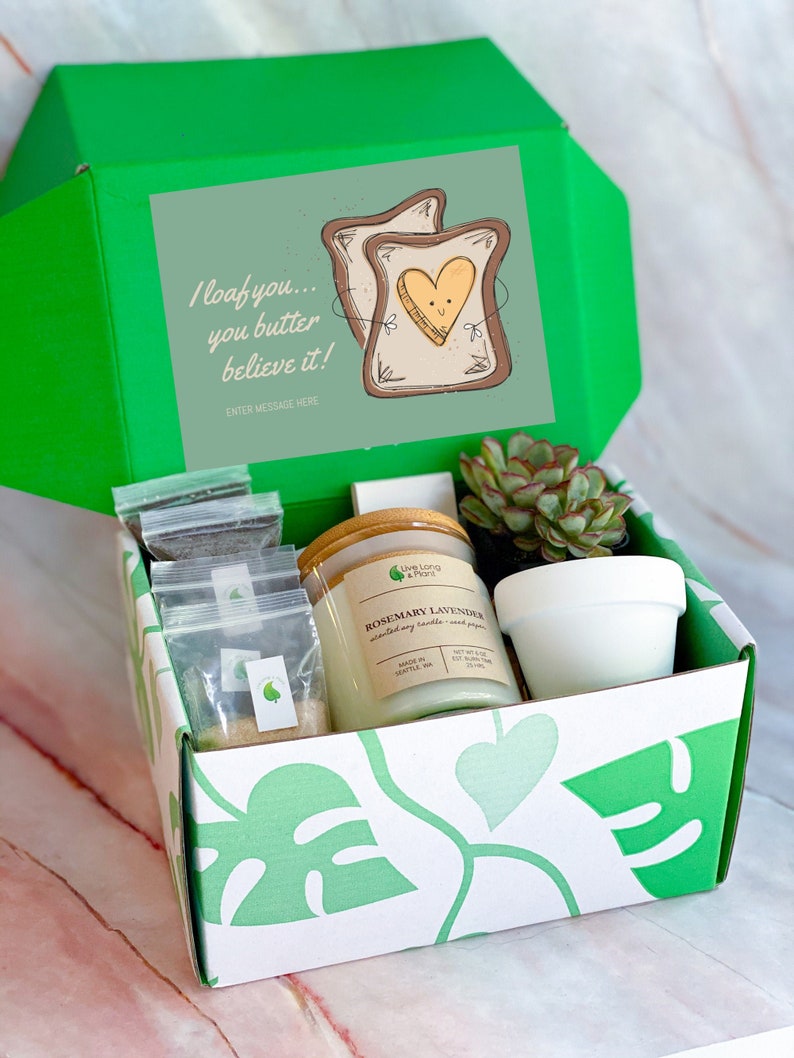 Plant Gift Box Plant Gift Set Succulent Gift Box Plant Gift Etsy