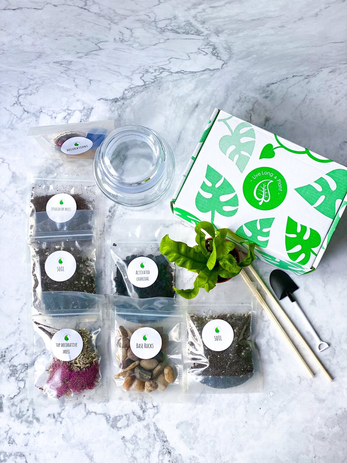 Closed Terrarium DIY Terrarium Kit Terrarium Craft Kit for Etsy