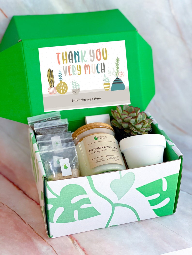 Thank You Gift Plant Gift Box DIY Kit for Adults Adult Craft Etsy