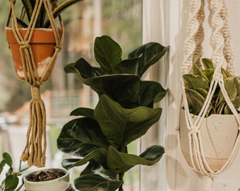 Handmade Macrame Plant Hanger: Natural Cotton Cord, Boho Home Decor