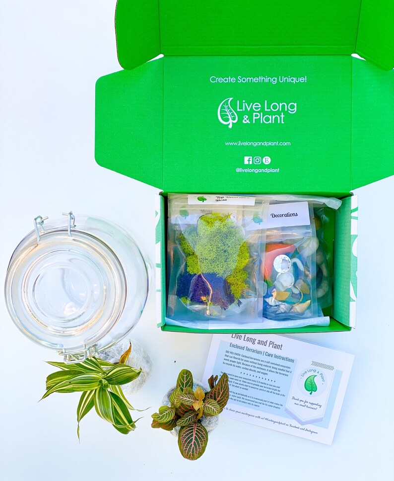 Terrarium Kit Closed Terrarium Kit DIY Kits for Adults Etsy