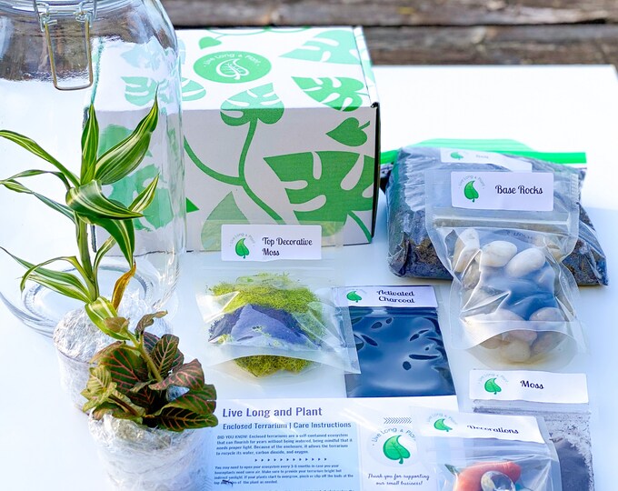 Terrarium Kit Closed Terrarium Kit DIY Kits for Adults Etsy