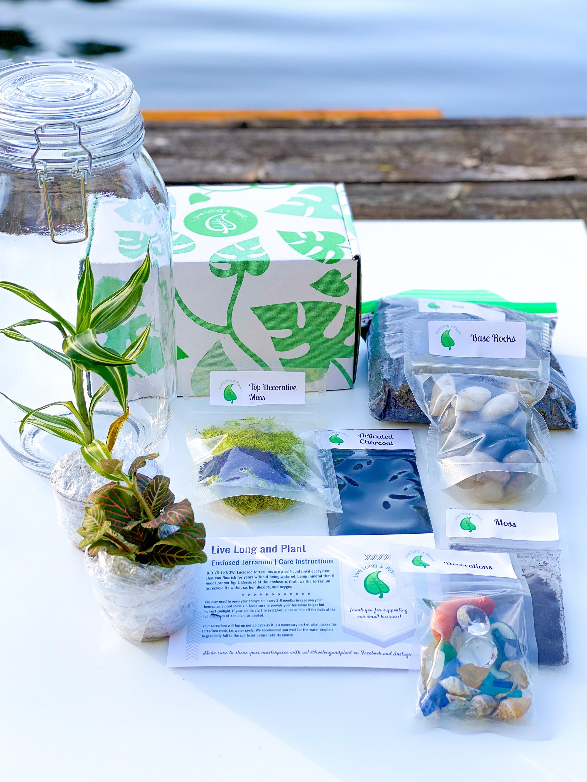 Terrarium Kit Closed Terrarium Kit DIY Kits for Adults Etsy