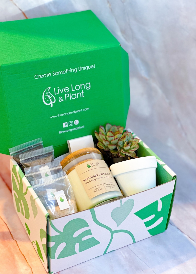 Craft Kits for Adults DIY Kit Craft Kit for Adults Adult Etsy