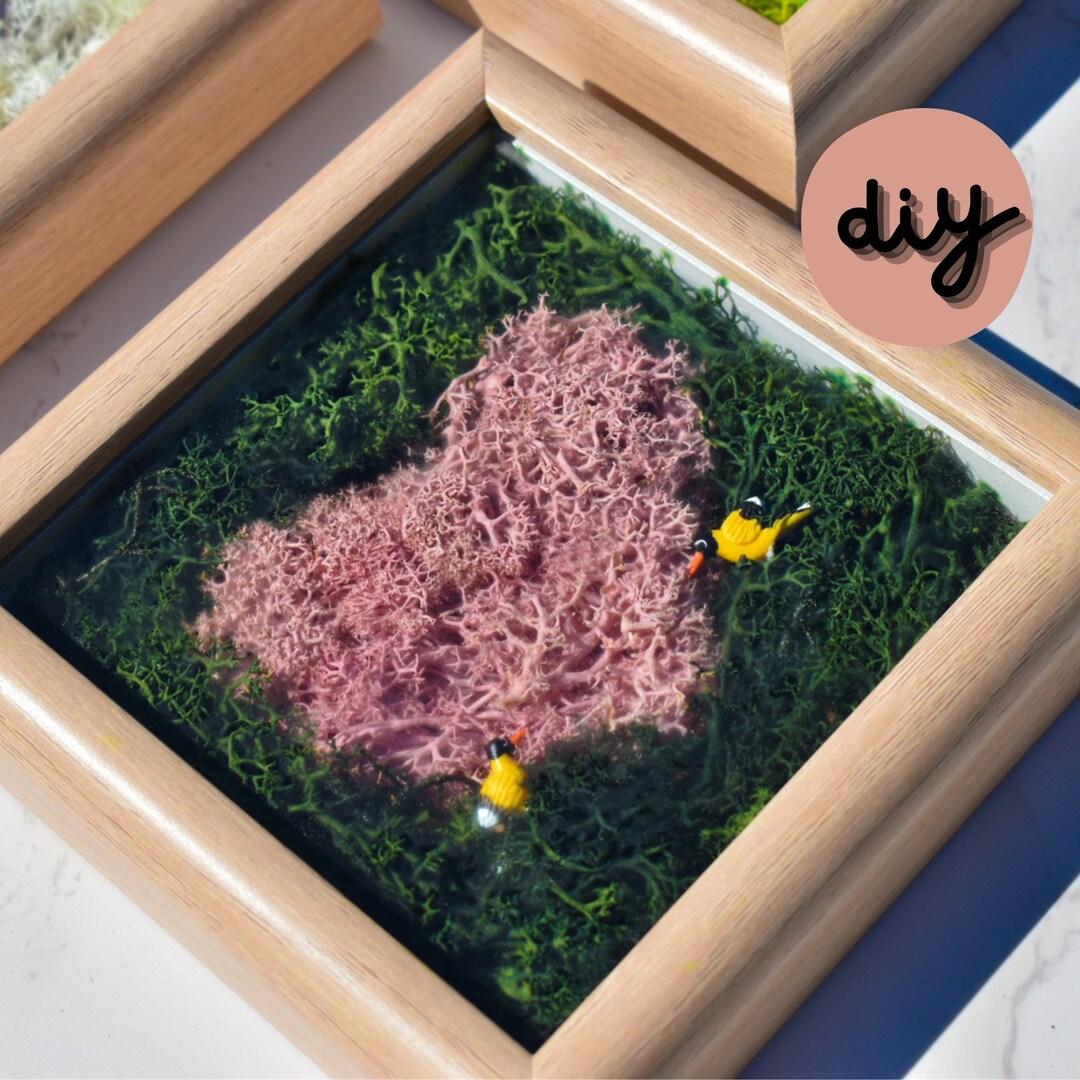 DIY Moss Art DIY Kit Moss Art Moss Art Kit Holiday Gift Etsy