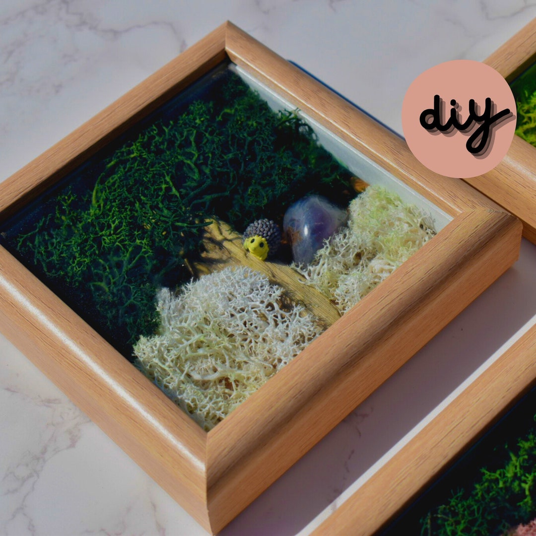 DIY Moss Art, DIY Kit, Moss Art, Holiday Gift, Christmas Gift, Wall Art