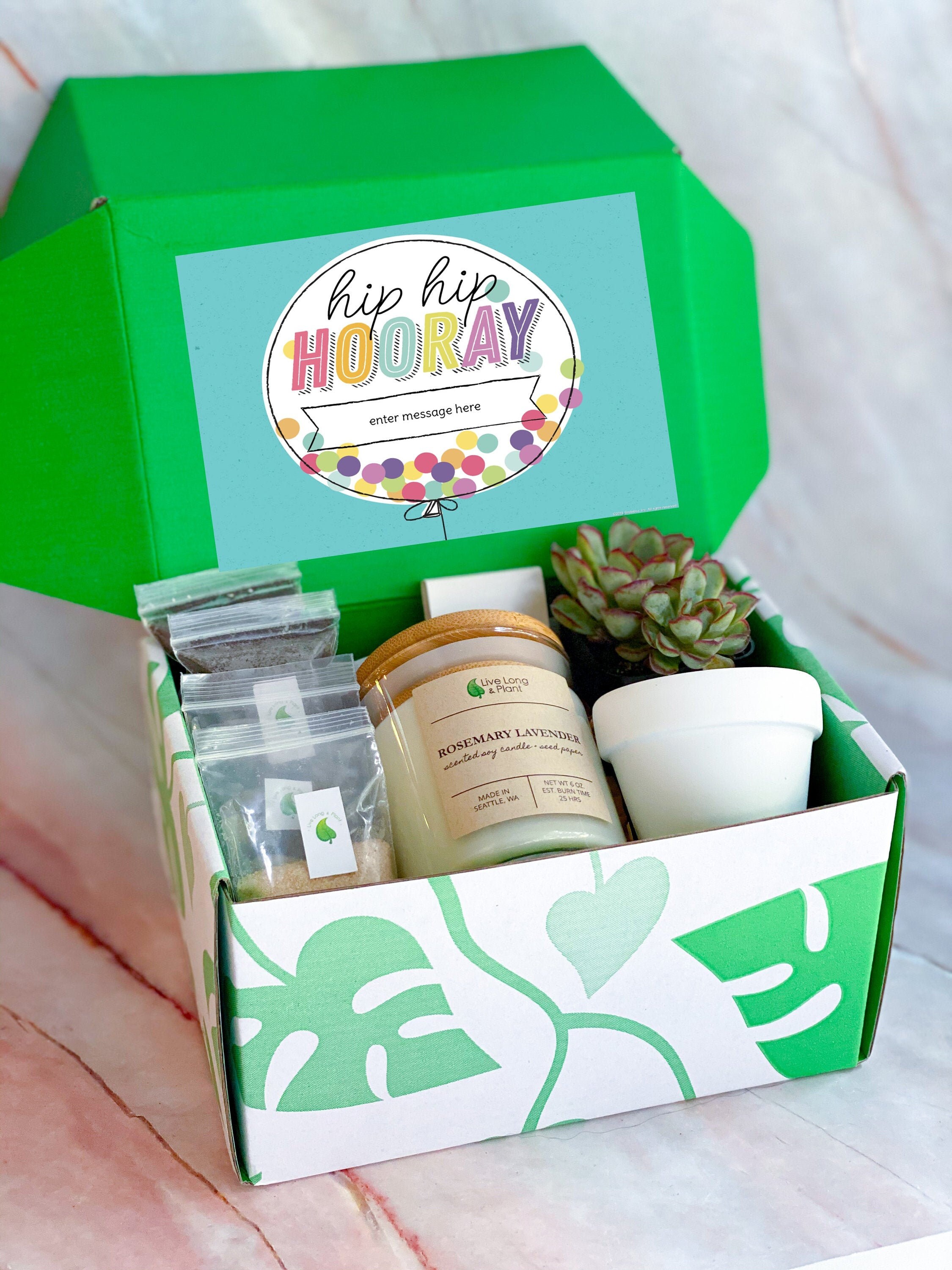 Birthday Gift Box | DIY Succulent Terrarium PIant Gift Box Set DIY Te…