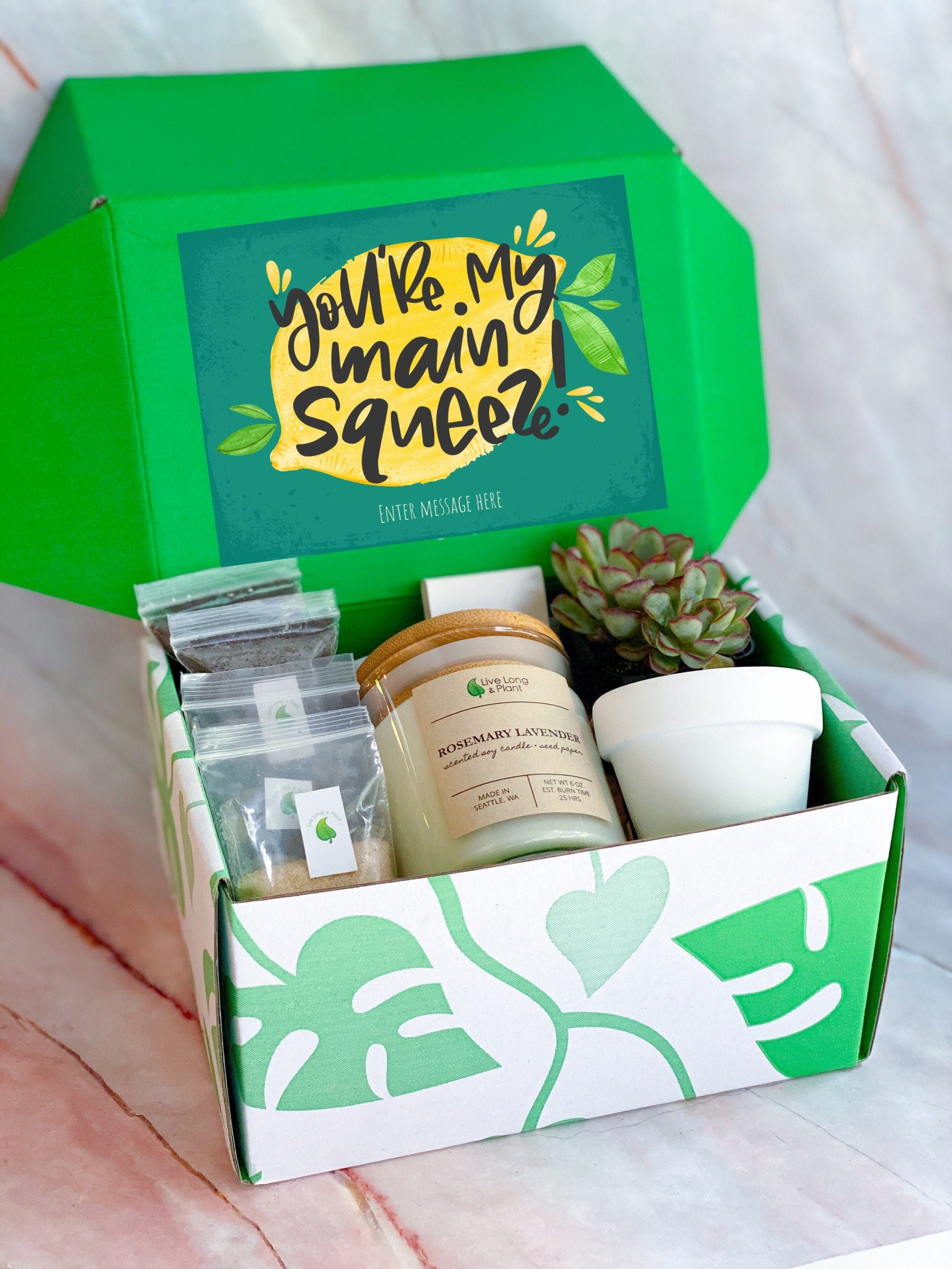 Plant Gift Box Plant Gift Set Succulent Gift Box Plant Gift Etsy