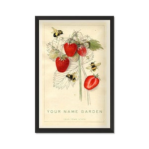 Vintage Bee & Strawberry Art Personalized- 11"x 17" Vintage Poster Gift, Vintage Botanical Print, Strawberry and Bee Art