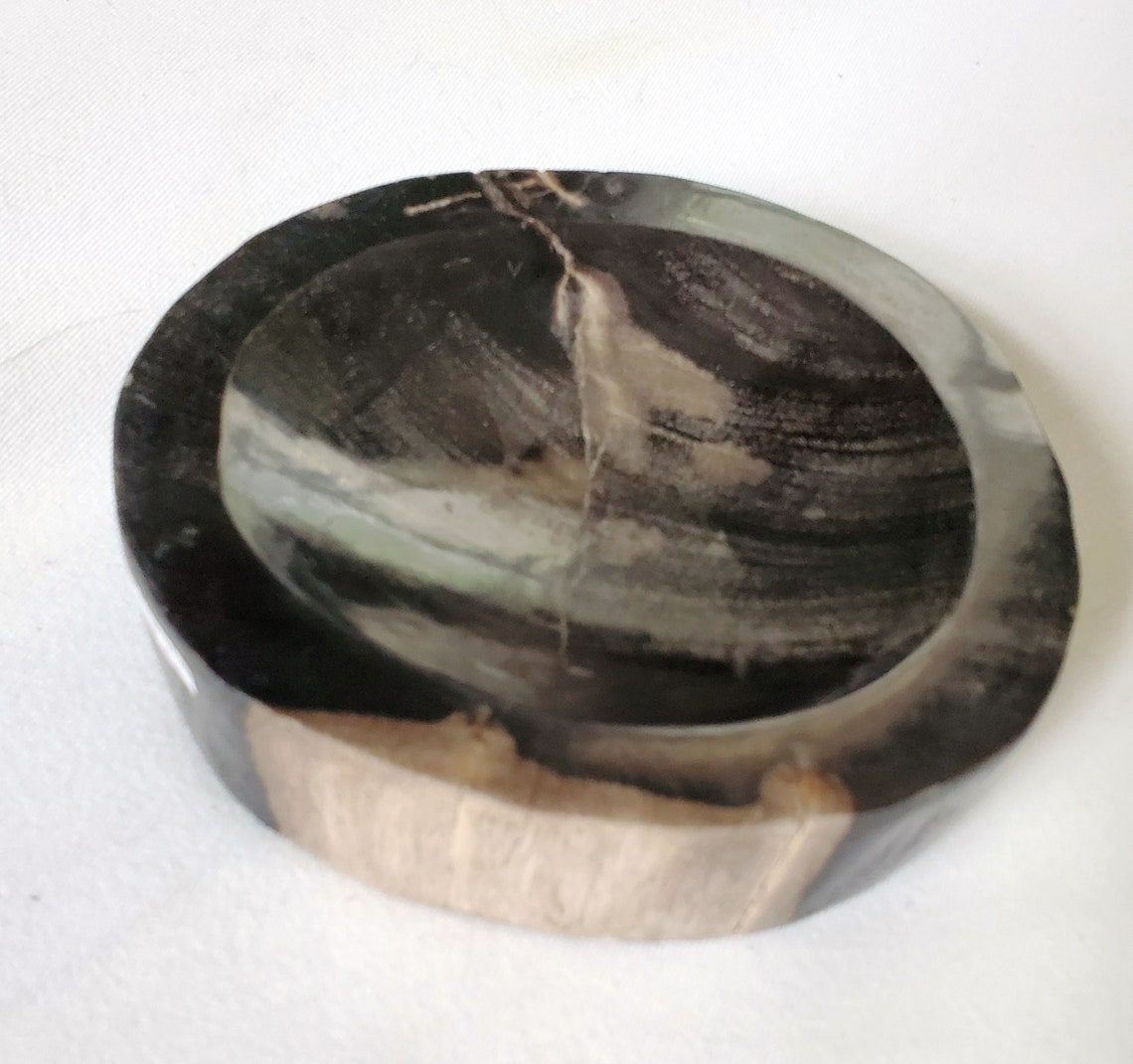 Petrified Wood Bowl | Etsy