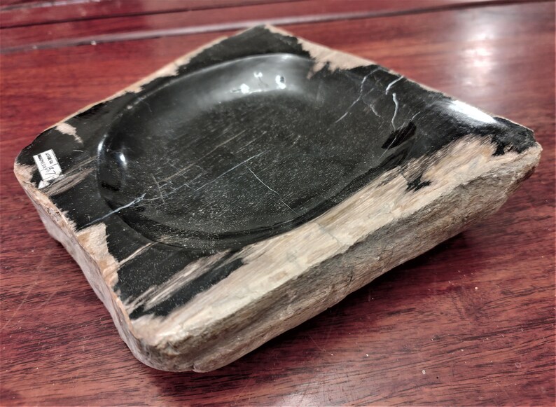 Large Black Petrified Wood Bowls Etsy