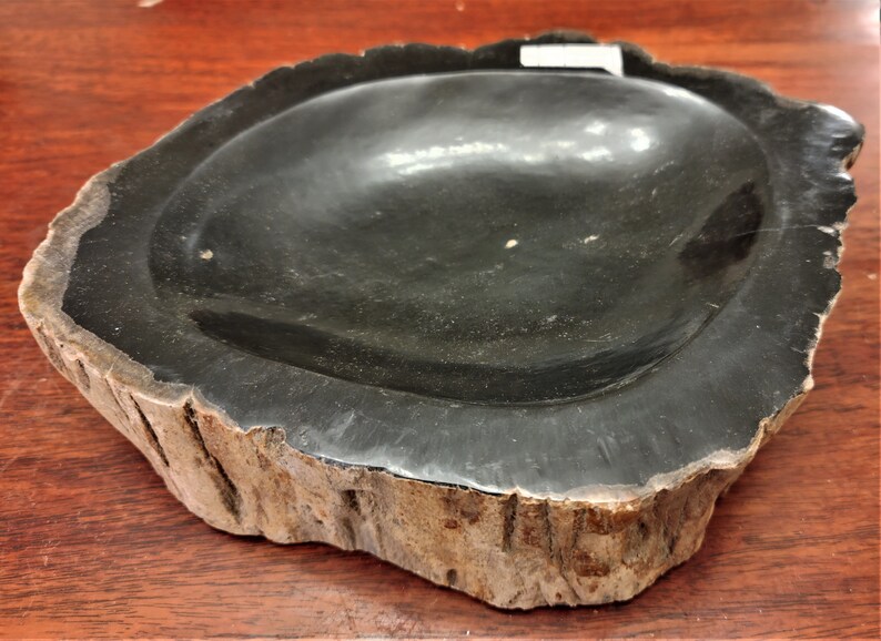Large Black Petrified Wood Bowls Etsy