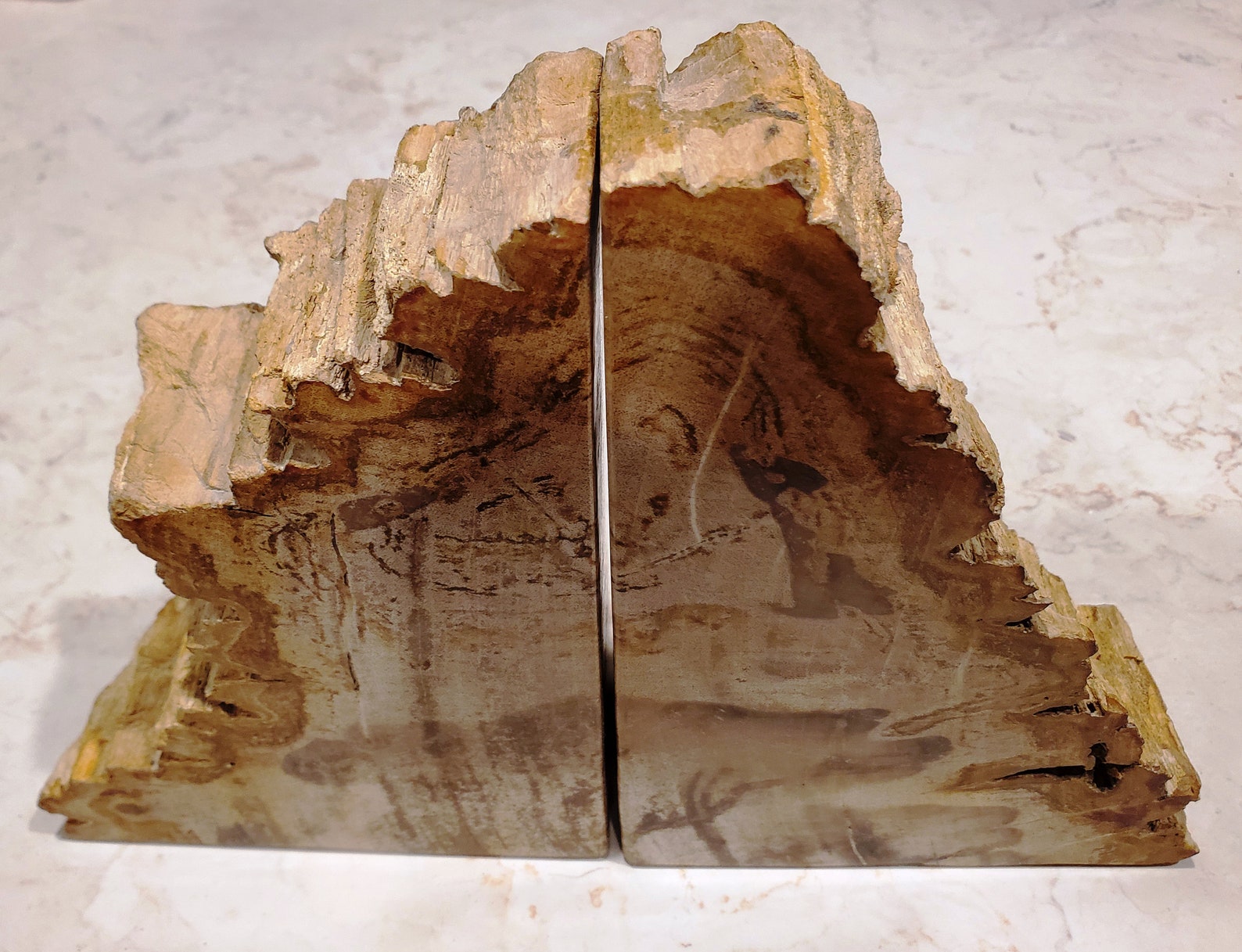 petrified wood bookends petrified wood bookends