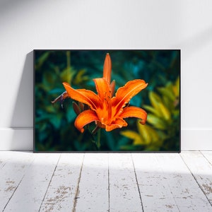 Orange flower photo, Floral digital art print - Instant Download