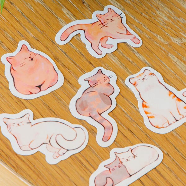 Cat Sticker Pack ~ Vinyl Cute Kawaii Glossy Stickers ~ Animal Stationary Planner Stickers