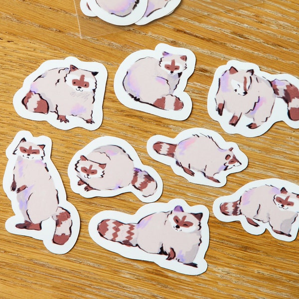 Raccoon Sticker Pack ~ Waterproof Vinyl Cute Kawaii Glossy Stickers ~ Animal Stationary Planner Stickers