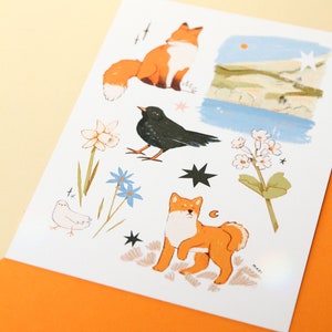 Carte postale renard, shiba et merle - impression d'art carte postale A6 - design animalier - cartes illustrées