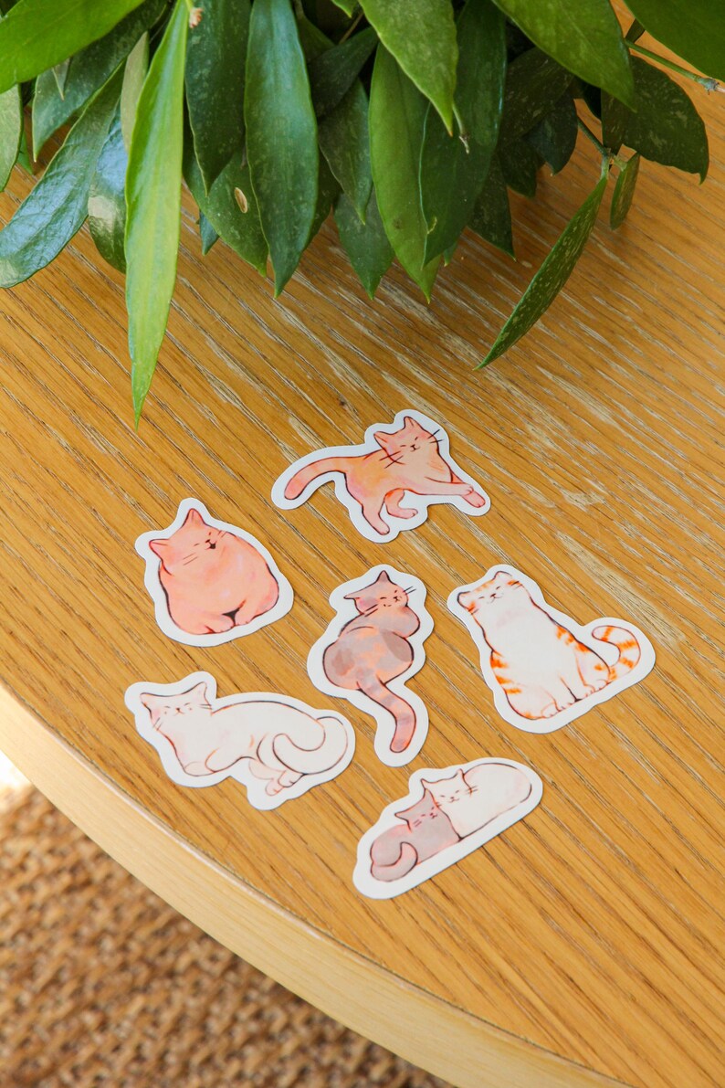 Cat Sticker Pack ~ Vinyl Cute Kawaii Glossy Stickers ~ Animal ...