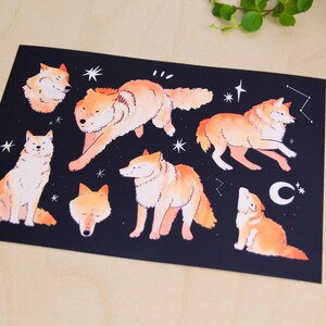 May include: An art print featuring watercolour illustrations of wolves in various poses against a dark blue background. The wolves are depicted in shades of orange and white, with stars and constellations.