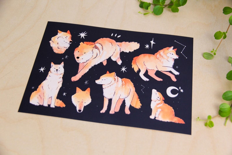 May include: An art print featuring watercolour illustrations of wolves in various poses against a dark blue background. The wolves are depicted in shades of orange and white, with stars and constellations.