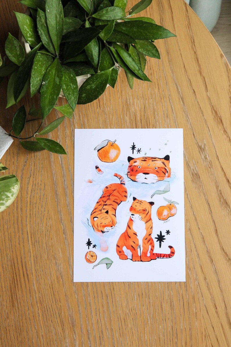 May include: A white card with an illustration of three orange tigers and orange fruit. The tigers are swimming in water and one is sitting on a rock. The card has a black star and the text "**" on it.