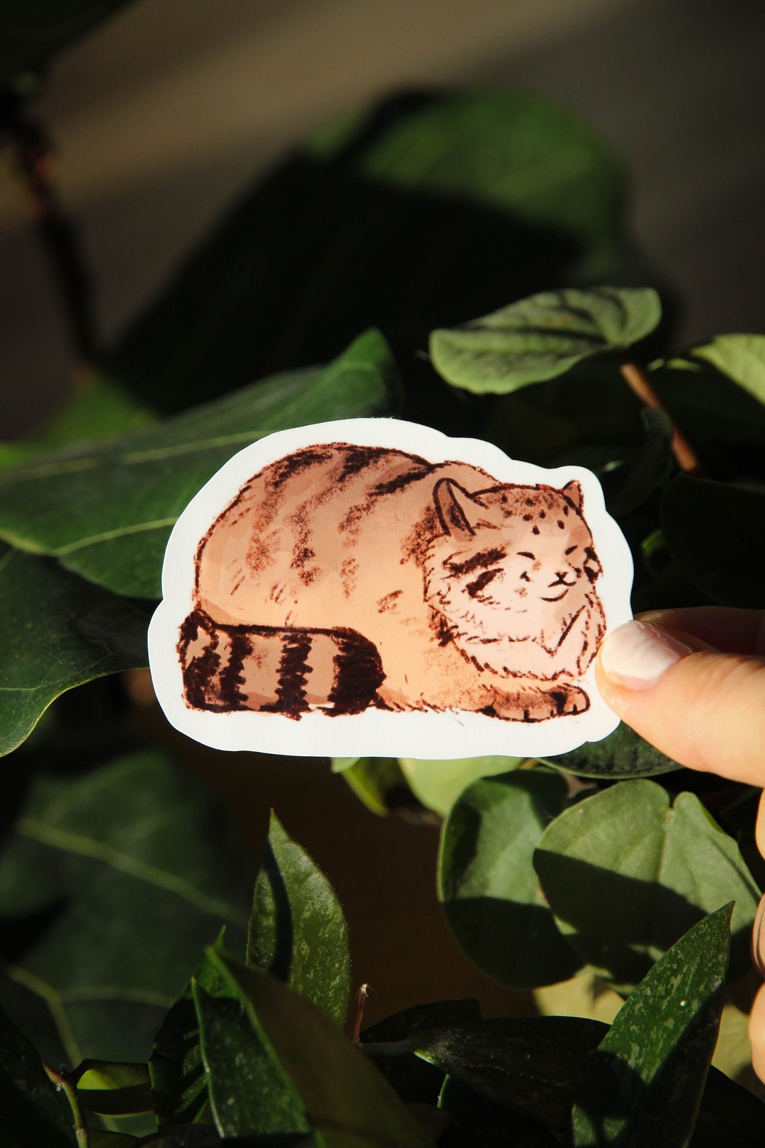 Pallas Cat Single Sticker ~ Waterproof Vinyl Kawaii Glossy Sticker ...