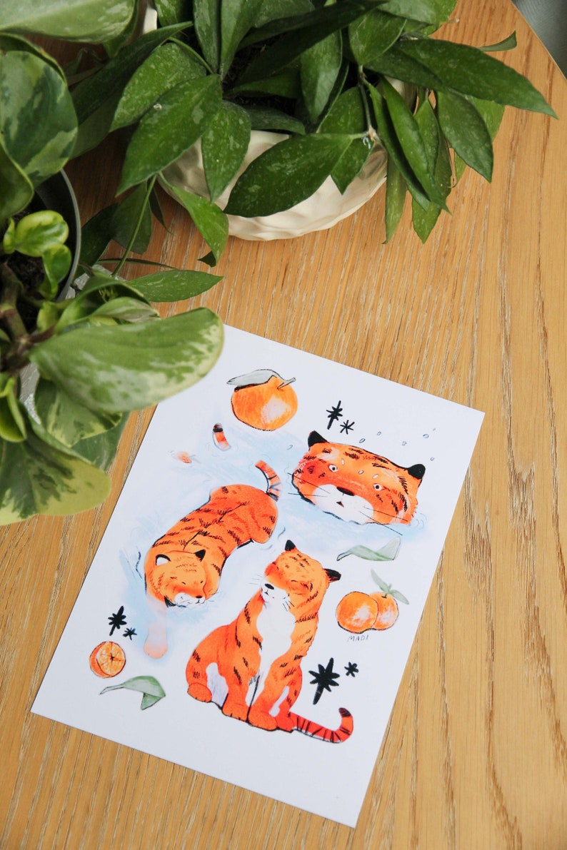May include: A white card with a blue background featuring three orange tigers and orange fruit. The tigers are in different poses, one is swimming, one is sitting, and one is lying down. The card has a black star and the word "MADI" written on it.