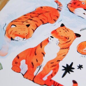 May include: A watercolour illustration of three orange tigers with black stripes. The tigers are in different poses, one is sleeping, one is sitting, and one is curled up. The illustration is on a white background with black stars and green leaves.