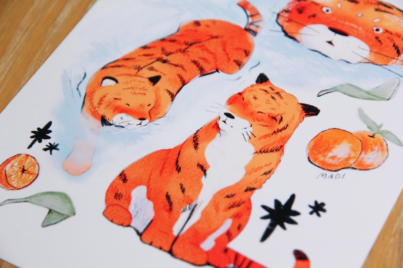 May include: A watercolour illustration of three orange tigers with black stripes. The tigers are in different poses, one is sleeping, one is sitting, and one is curled up. The illustration is on a white background with black stars and green leaves.