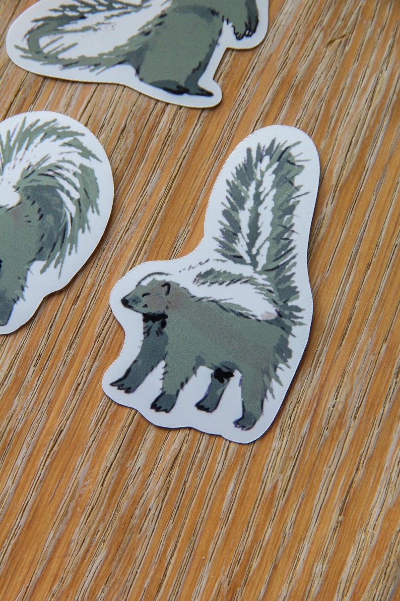 Skunk Sticker Skunk Sticker Pack, Cute Kawaii Glossy Vinyl Decals - Etsy