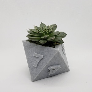 Table Top RPG Dice Succulent Planter Set 3D Printed 3D Printed Plant Pot 20 sided, 12 sided, 8 sided Dice Set image 4