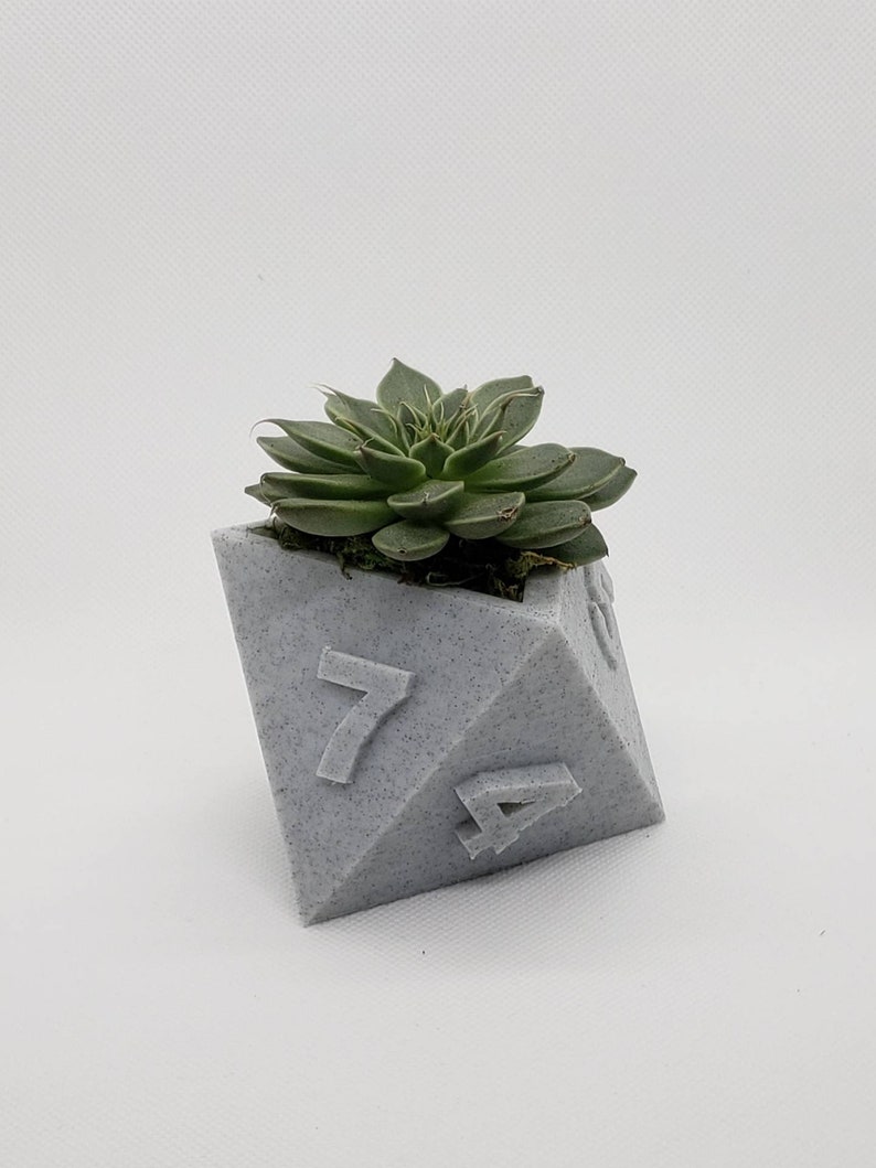 Table Top RPG Dice Succulent Planter Set 3D Printed 3D Printed Plant Pot 20 sided, 12 sided, 8 sided Dice Set image 4