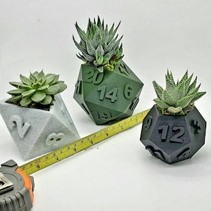 Table Top RPG Dice Succulent Planter Set 3D Printed 3D Printed Plant Pot 20 sided, 12 sided, 8 sided Dice Set image 7