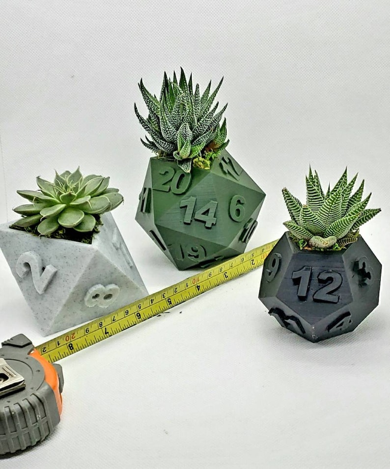 Table Top RPG Dice Succulent Planter Set 3D Printed 3D Printed Plant Pot 20 sided, 12 sided, 8 sided Dice Set image 7