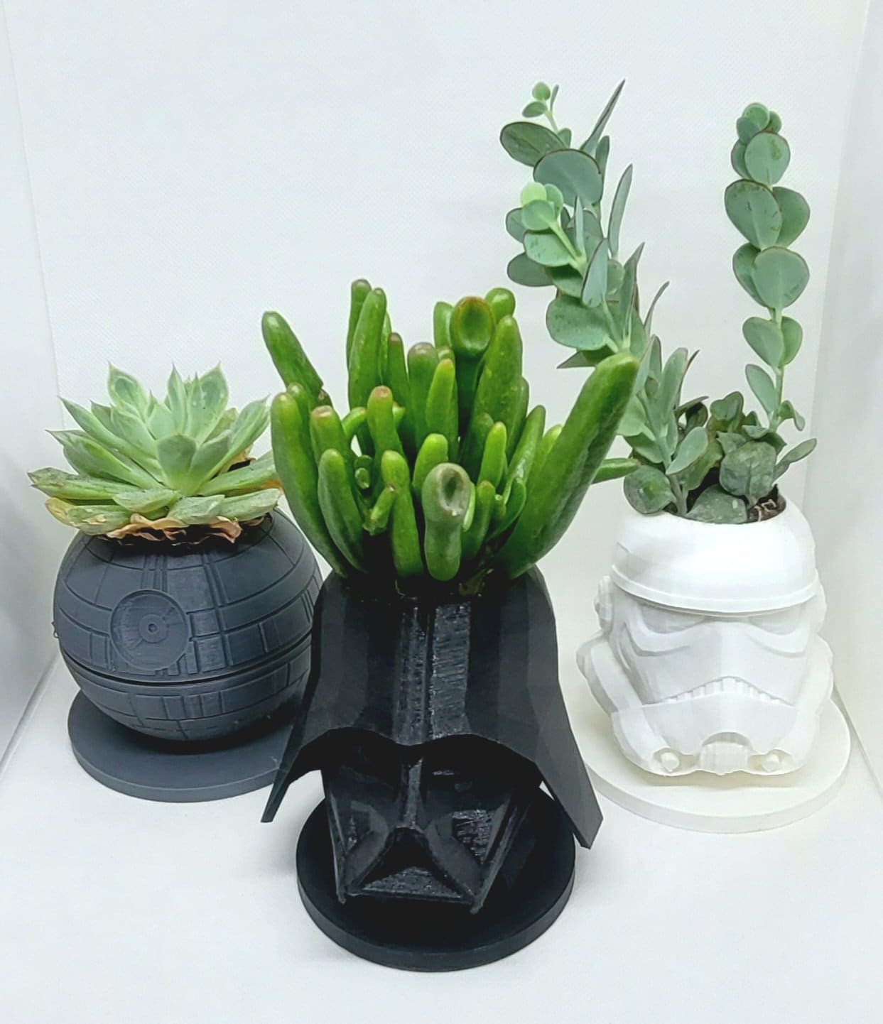 Star wars 2025 succulent planter