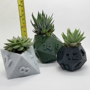 Table Top RPG Dice Succulent Planter Set 3D Printed 3D Printed Plant Pot 20 sided, 12 sided, 8 sided Dice Set image 5