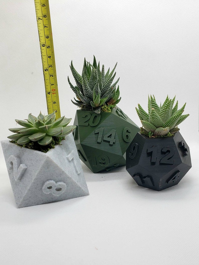 Table Top RPG Dice Succulent Planter Set 3D Printed 3D Printed Plant Pot 20 sided, 12 sided, 8 sided Dice Set image 5