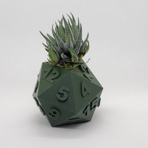 Table Top RPG Dice Succulent Planter Set 3D Printed 3D Printed Plant Pot 20 sided, 12 sided, 8 sided Dice Set image 3