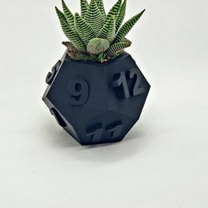 Table Top RPG Dice Succulent Planter Set 3D Printed 3D Printed Plant Pot 20 sided, 12 sided, 8 sided Dice Set image 6