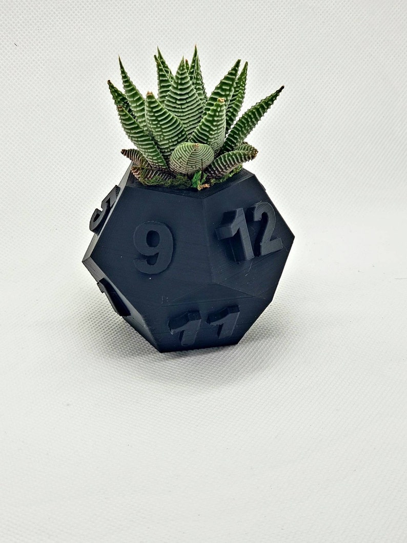 Table Top RPG Dice Succulent Planter Set 3D Printed 3D Printed Plant Pot 20 sided, 12 sided, 8 sided Dice Set image 6