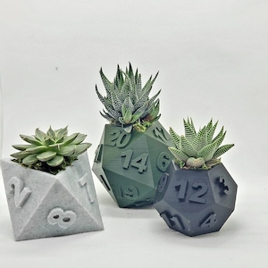 Table Top RPG Dice Succulent Planter Set 3D Printed 3D Printed Plant Pot 20 sided, 12 sided, 8 sided Dice Set image 1