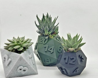 Table Top RPG Dice Succulent Planter Set - 3D Printed | 3D Printed Plant Pot | 20 sided, 12 sided, 8 sided Dice Set